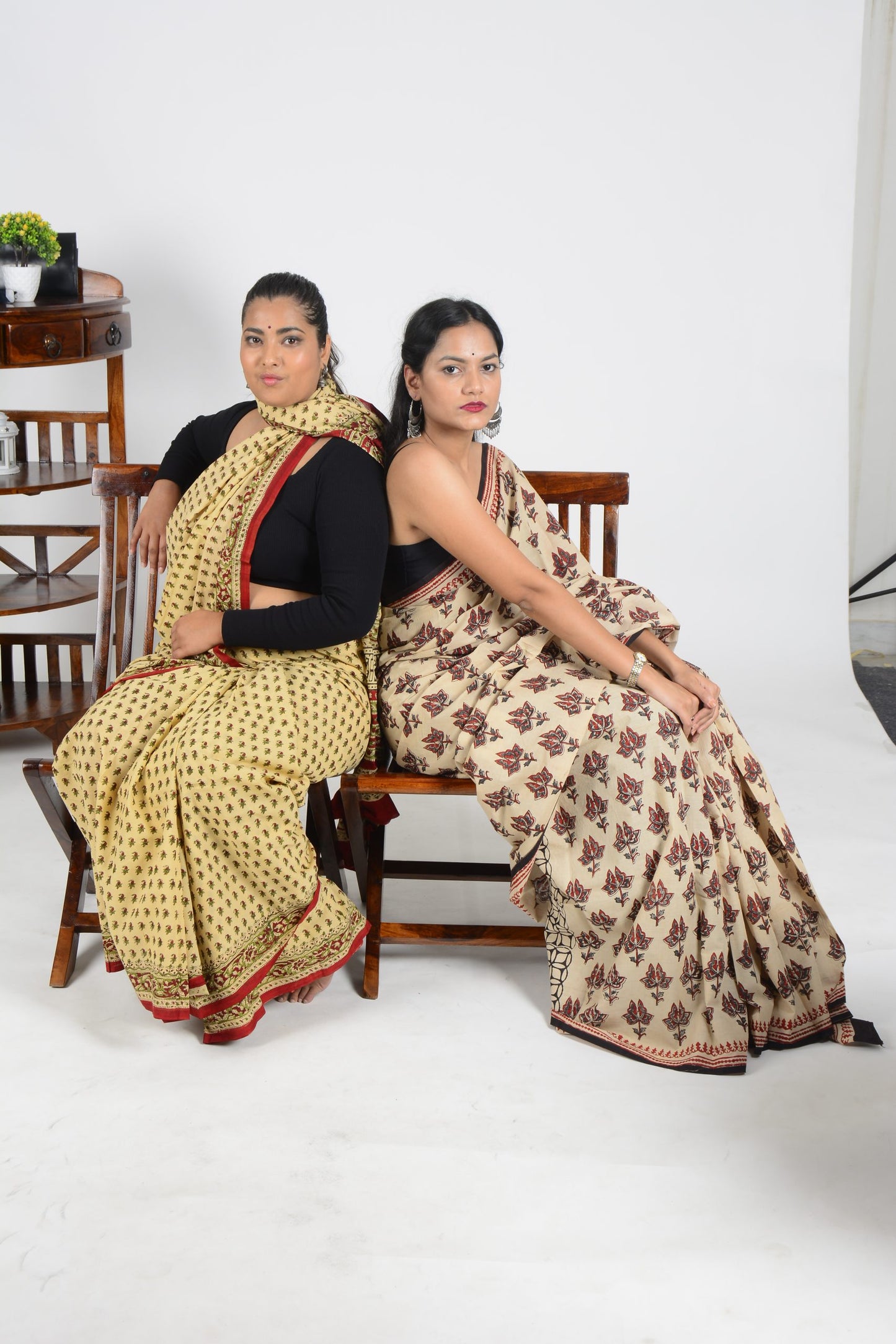 Bagru Hand Printed Saree