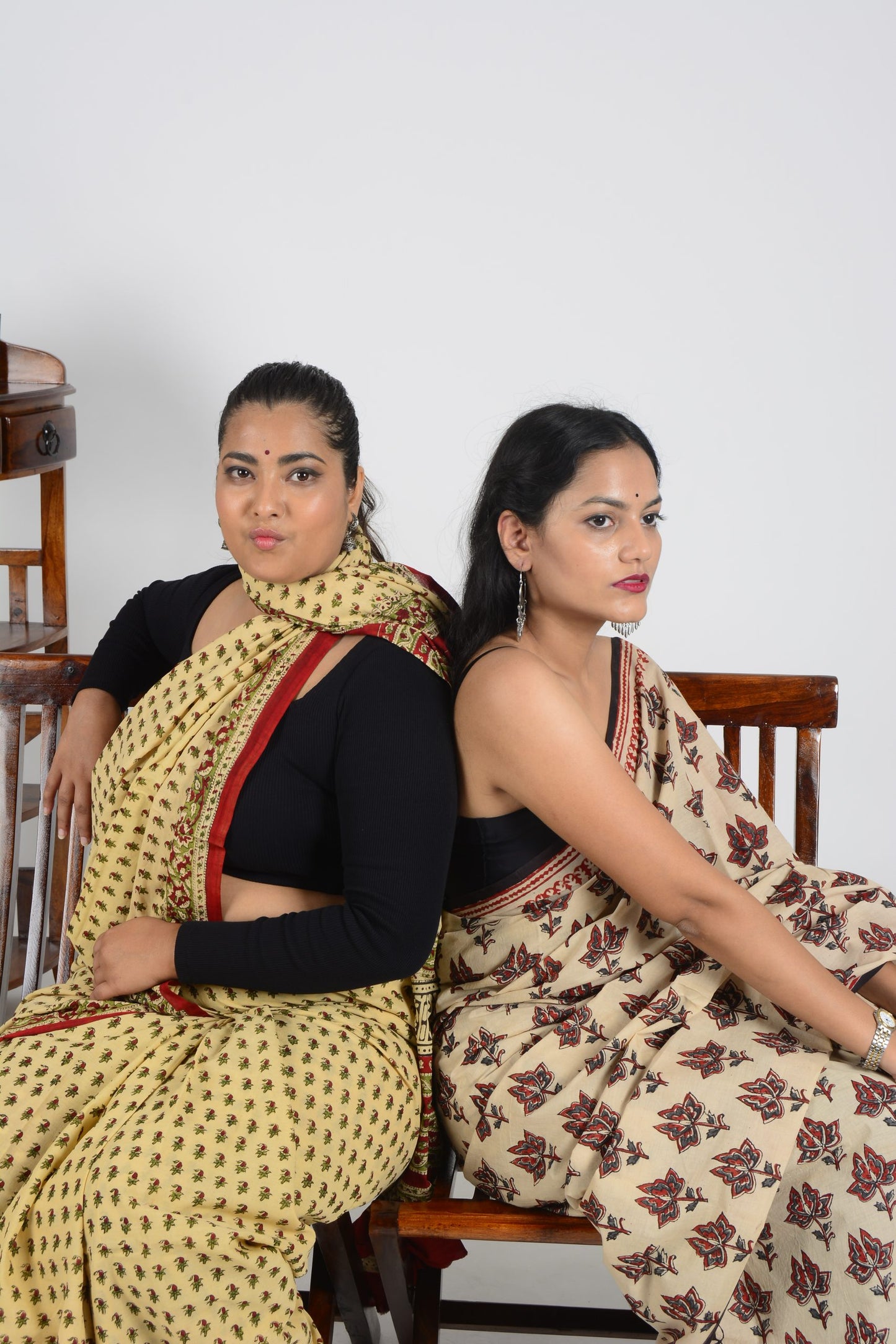 Bagru Hand Printed Saree