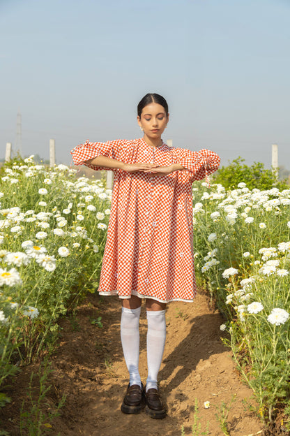 Rust Reverie Dress
