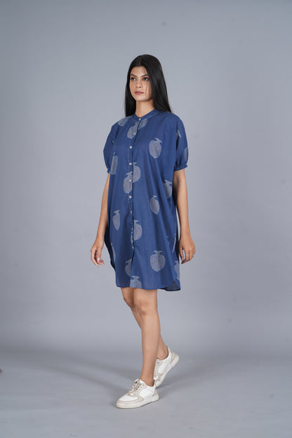 Anar Shirt Dress