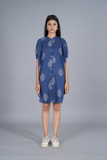 Anar Shirt Dress